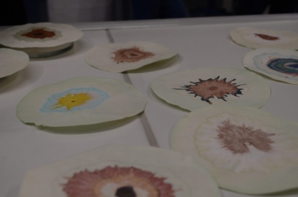 Naturwissenschaftliche Experimente