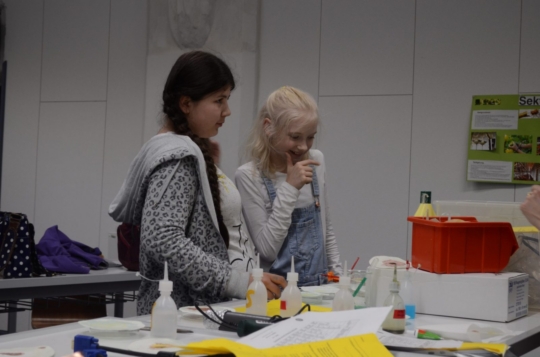 Naturwissenschaftliche Experimente