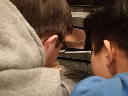 Spannendes in der Mikrowelle