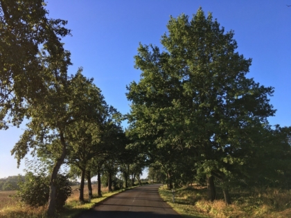 Projekt 'Grenzen überwinden' 2020