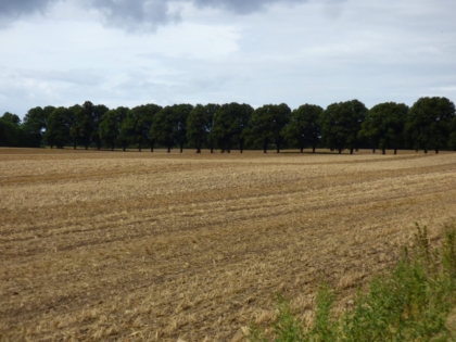 Projekt 'Grenzen überwinden' 2020