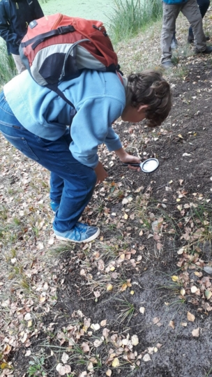 Ausflug Wald-und-Wiesen-AG 2021