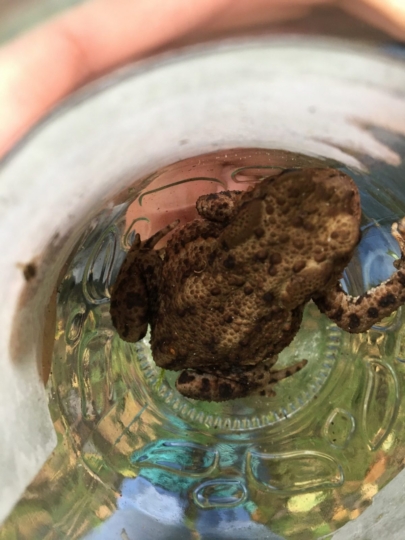 Ausflug Wald-und-Wiesen-AG 2021