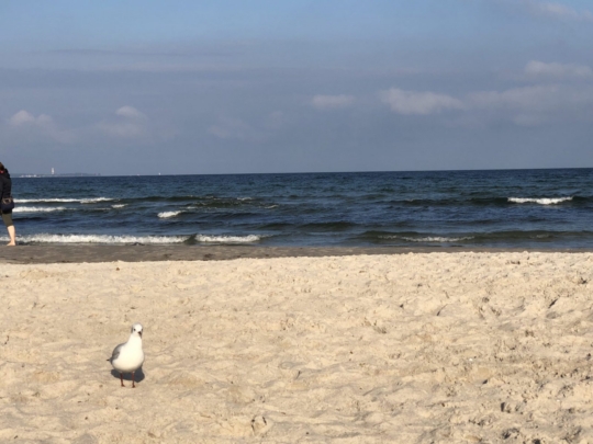 Kennlernfahrt 5b (2021)