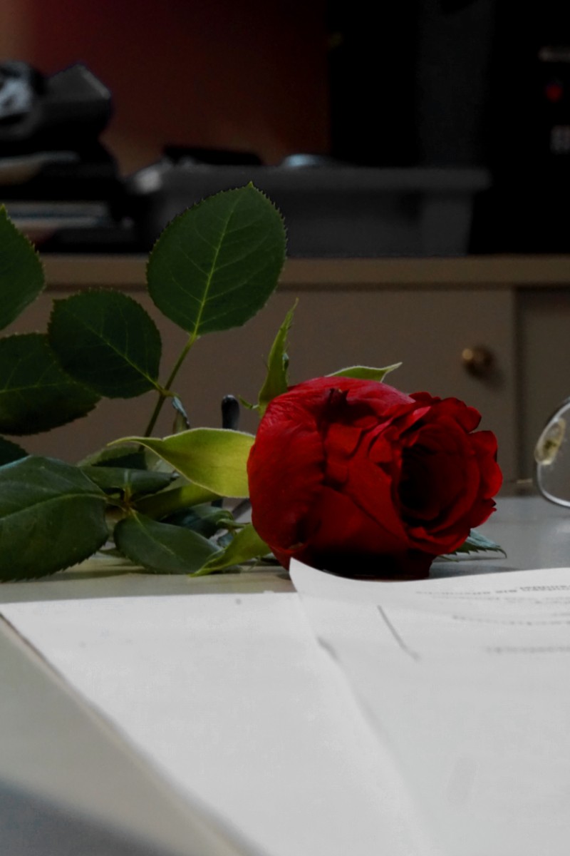Rose auf Tisch, Foto, 2022 Lübeck