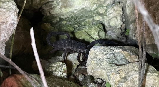 Von Pylos bis nach Tolo - Griechenlandfahrt 2022