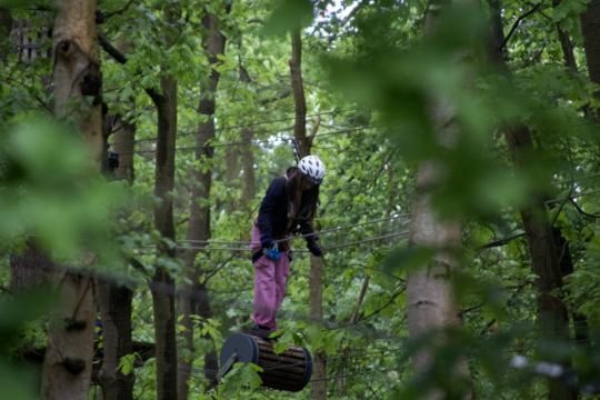 tolle Blätter im Vordergrund