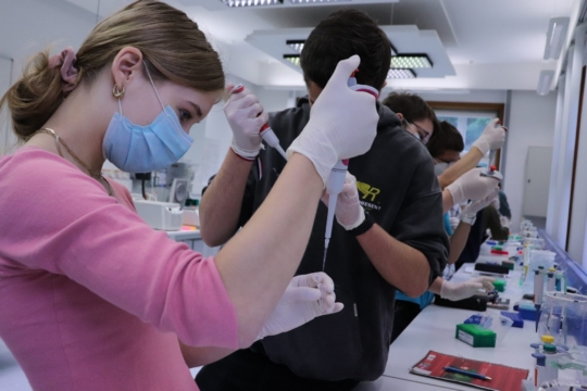 konzentriertes Pipettieren