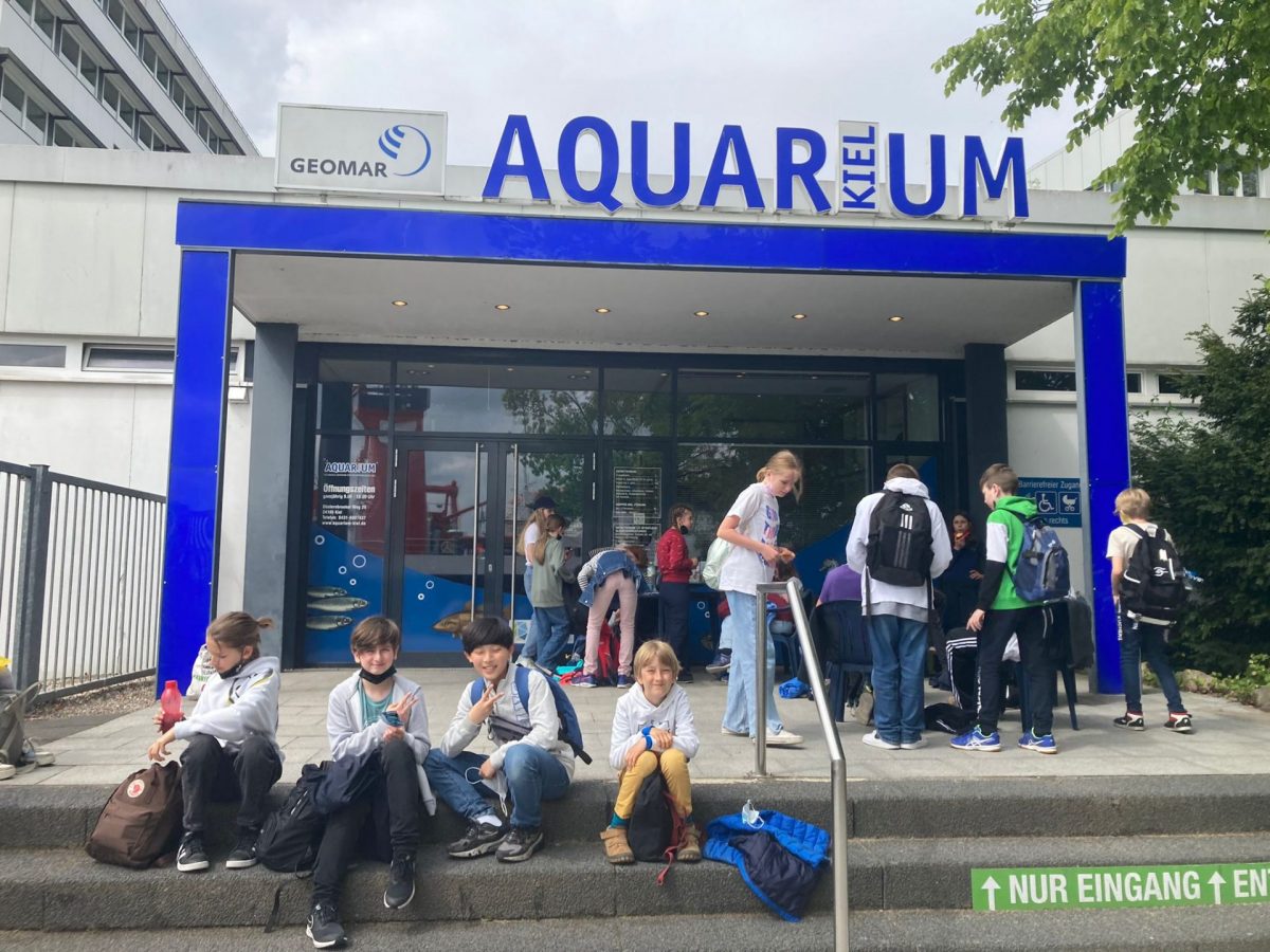 Antikensammlung und Aquarium Kiel – Wandertag 6a