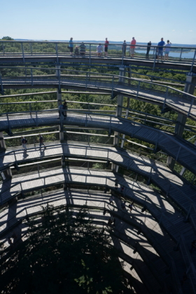 Baumwipfelpfad - Klassenfahrt 8b Stralsund