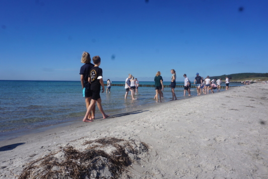 Klassenfahrt 8b - Stralsund