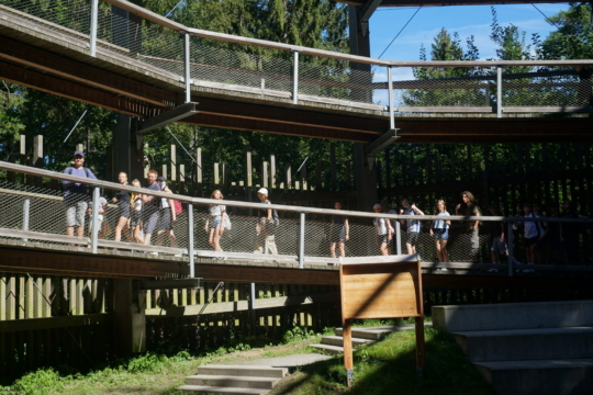 Baumwipfelpfad - Klassenfahrt 8b Stralsund