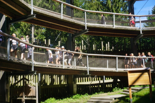 Baumwipfelpfad - Klassenfahrt 8b Stralsund