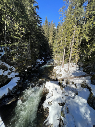 Back from - Mavie in Kanada