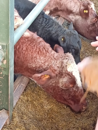 Future Textiles: Fields, Farm & Fashion in Schottland