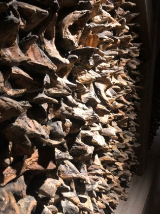 Ausflug ins Hansemuseum 8c 2022