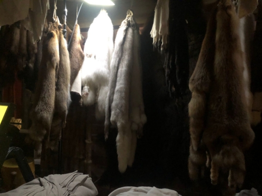 Ausflug ins Hansemuseum 8c 2022