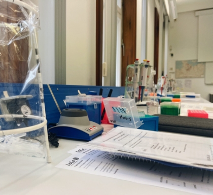 LOLA-Exkursion der Q1-Kurse 2023