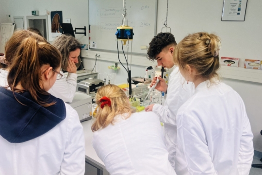 LOLA-Exkursion der Q1-Kurse 2023