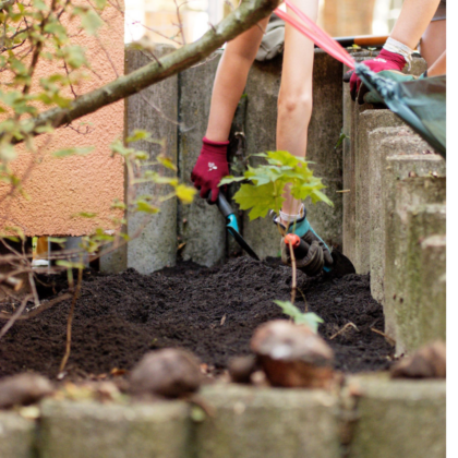 Begrünung des Schulhofs