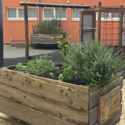 Begrünung des Schulhofs