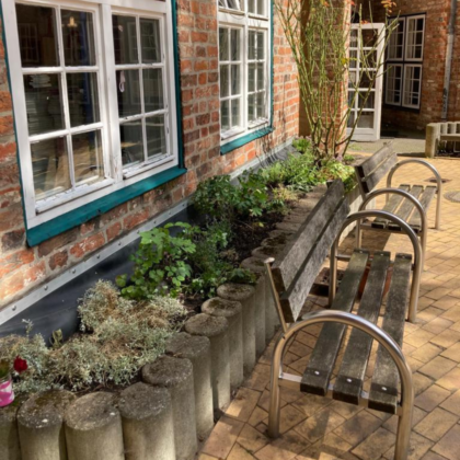 Begrünung des Schulhofs