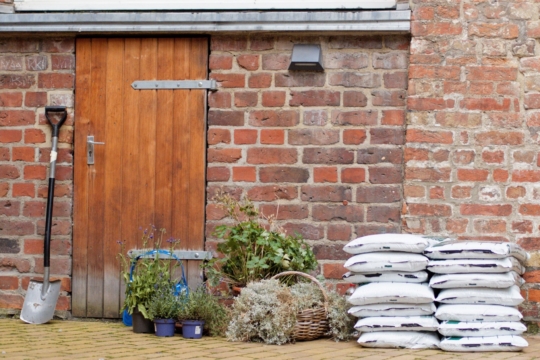 Begrünung des Schulhofs