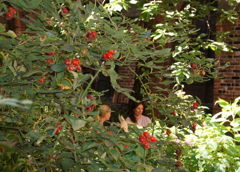 Interview mit Frau Landow