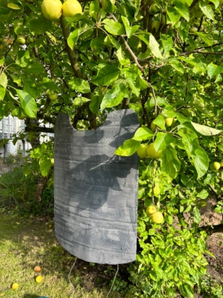 Minimus 2.0 - die Vorbereitungen laufen