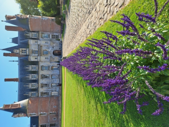 Frankreichaustausch 2023