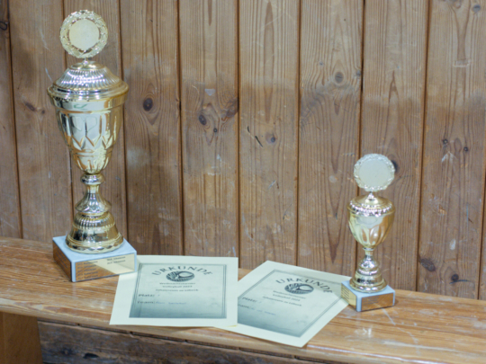 Volleyballturnier des Q2-Jahrgangs