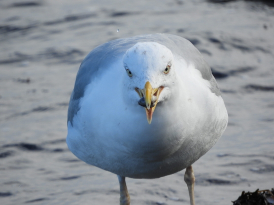 Probenfahrt Junges Musical 2024