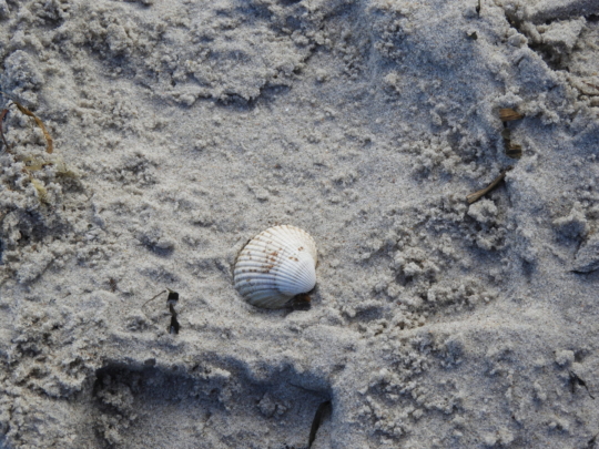 Probenfahrt Junges Musical 2024