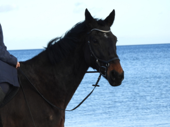 Probenfahrt Junges Musical 2024