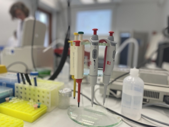 LoLa-Exkursion Q1-Biokurse