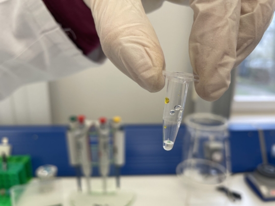 LoLa-Exkursion Q1-Biokurse