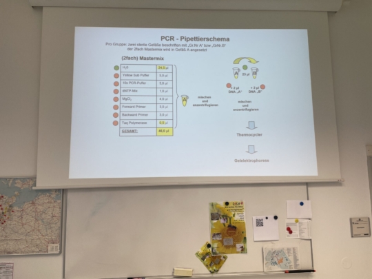 LoLa-Exkursion Q1-Biokurse