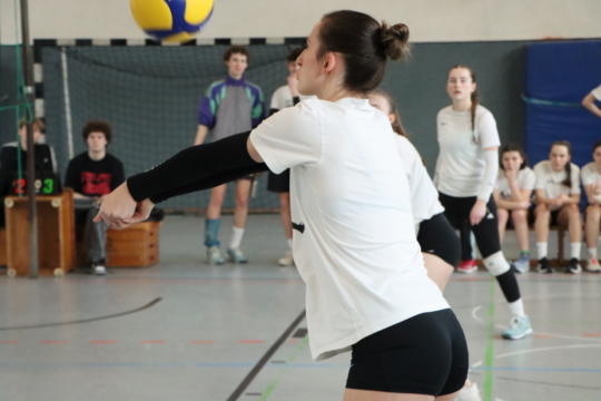 Sport- und Spieltag Volleyball