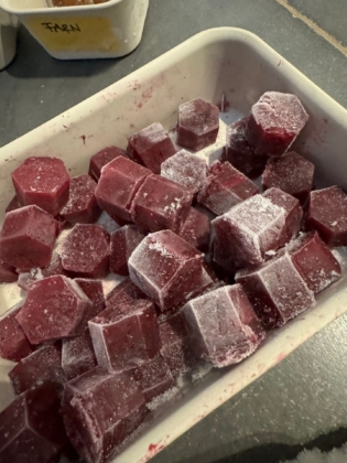 Besuch St. Annen-Museum