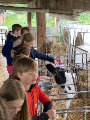 Zu Besuch auf dem Bauernhof