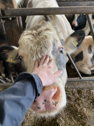 Zu Besuch auf dem Bauernhof