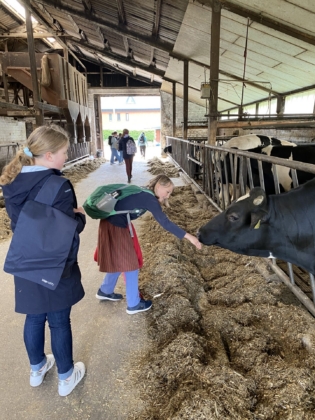 Zu Besuch auf dem Bauernhof
