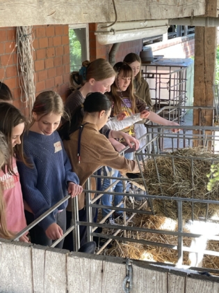 Zu Besuch auf dem Bauernhof