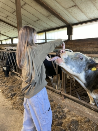 Zu Besuch auf dem Bauernhof