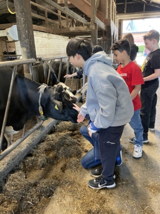Zu Besuch auf dem Bauernhof