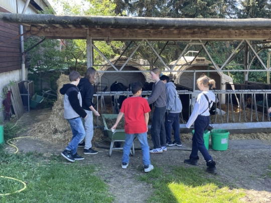 Zu Besuch auf dem Bauernhof