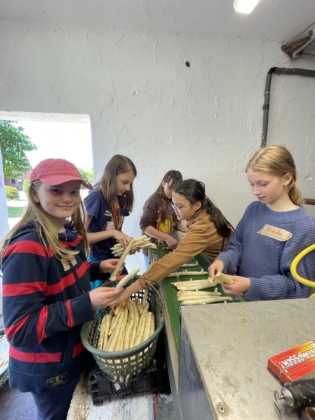 Zu Besuch auf dem Bauernhof