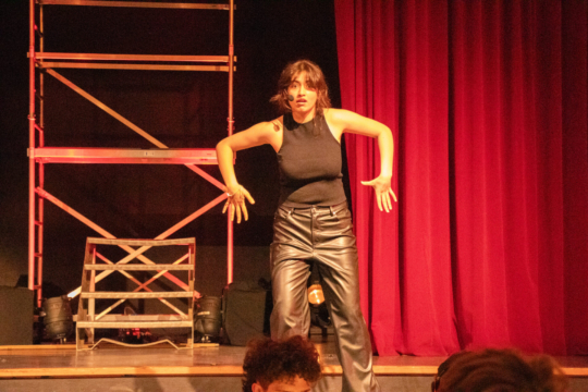 Pippin -Die Kunst des Lebens