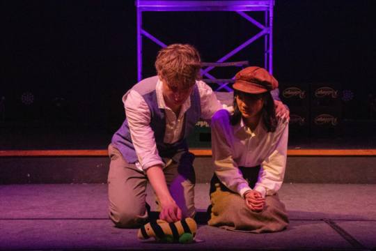 Pippin -Die Kunst des Lebens