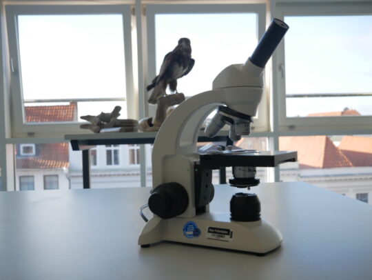 Schulvorstellung 2025